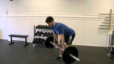 Bent Over Barbell Rows