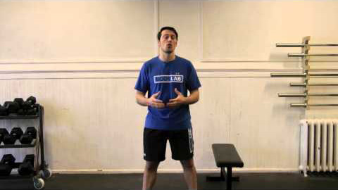 Bulgarian Split Squats