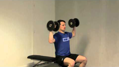 Seated Dumbbell Skulder Press